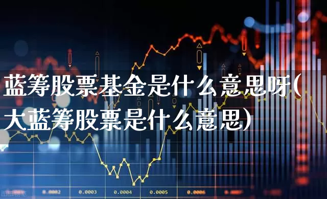 蓝筹股票基金是什么意思呀(大蓝筹股票是什么意思)_https://www.hhem8.com_深交所_第1张
