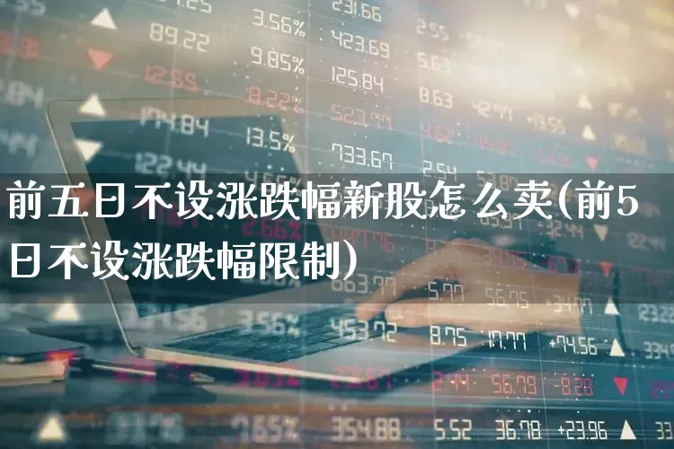 前五日不设涨跌幅新股怎么卖(前5日不设涨跌幅限制)_https://www.hhem8.com_北交所_第1张