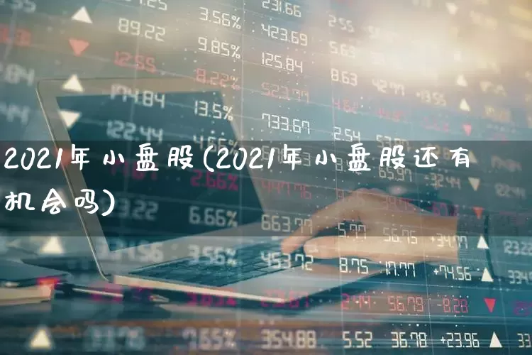 2021年小盘股(2021年小盘股还有机会吗)_https://www.hhem8.com_上交所_第1张