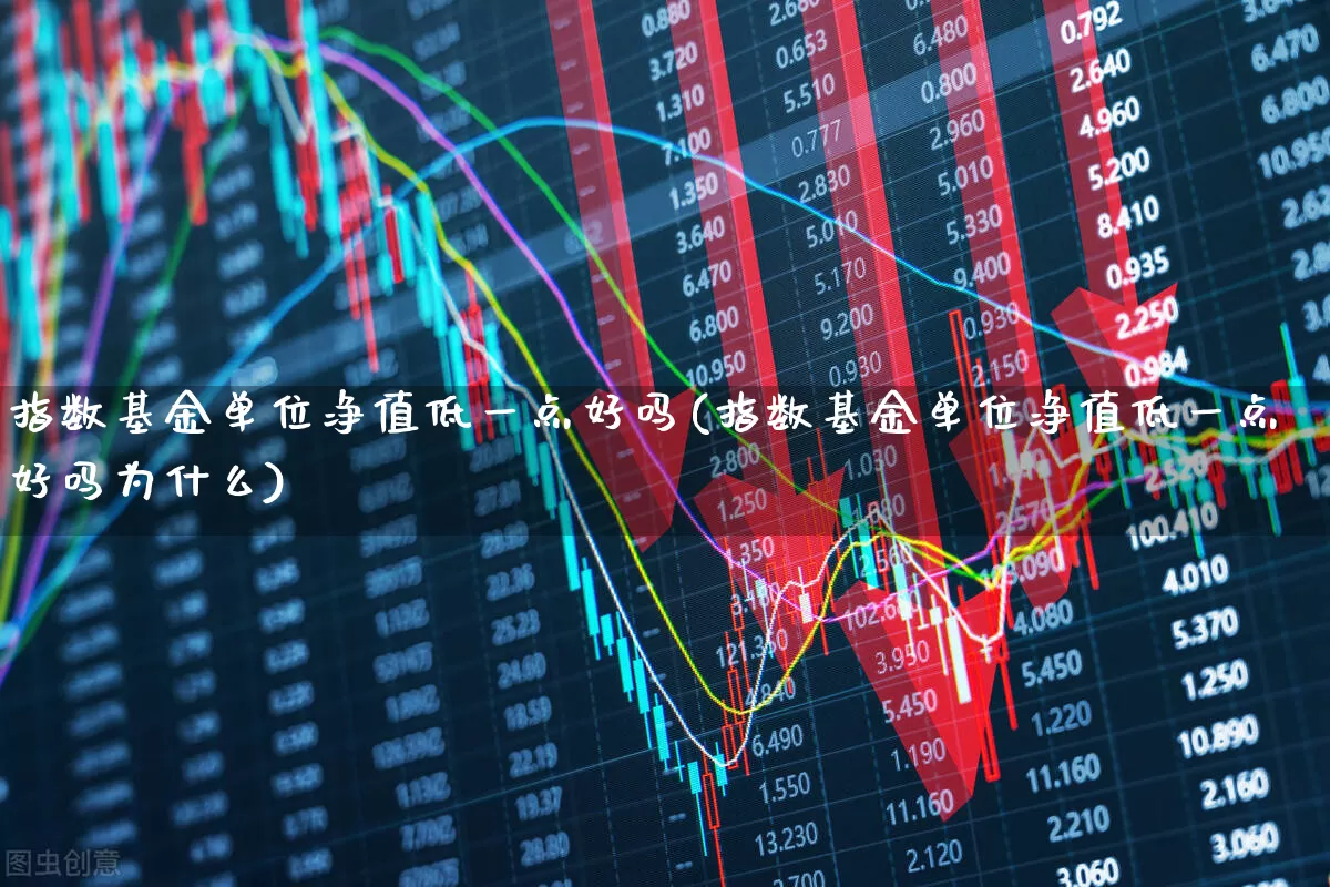 指数基金单位净值低一点好吗(指数基金单位净值低一点好吗为什么)_https://www.hhem8.com_创业板_第1张