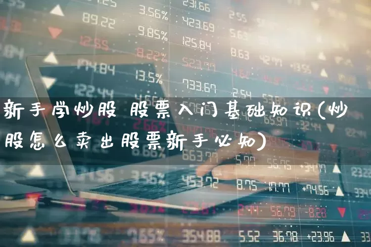 新手学炒股 股票入门基础知识(炒股怎么卖出股票新手必知)_https://www.hhem8.com_科创板_第1张