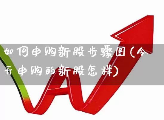 如何申购新股步骤图(今天申购的新股怎样)_https://www.hhem8.com_深交所_第1张