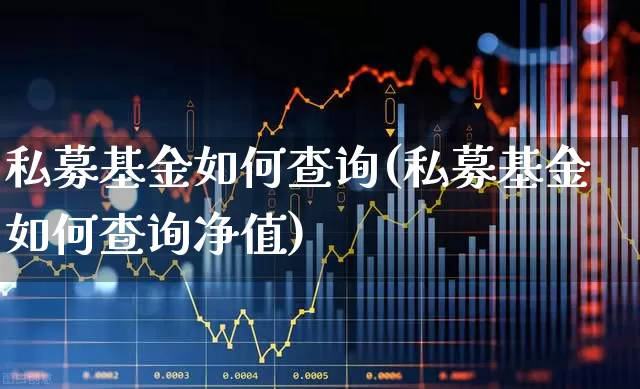 私募基金如何查询(私募基金如何查询净值)_https://www.hhem8.com_深交所_第1张