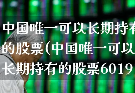 中国唯一可以长期持有的股票(中国唯一可以长期持有的股票601919)_https://www.hhem8.com_科创板_第1张