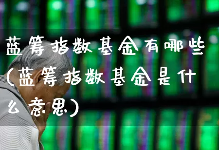 蓝筹指数基金有哪些(蓝筹指数基金是什么意思)_https://www.hhem8.com_科创板_第1张