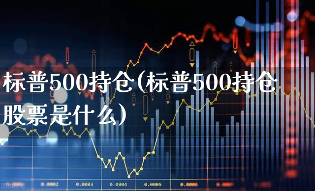 标普500持仓(标普500持仓股票是什么)_https://www.hhem8.com_科创板_第1张