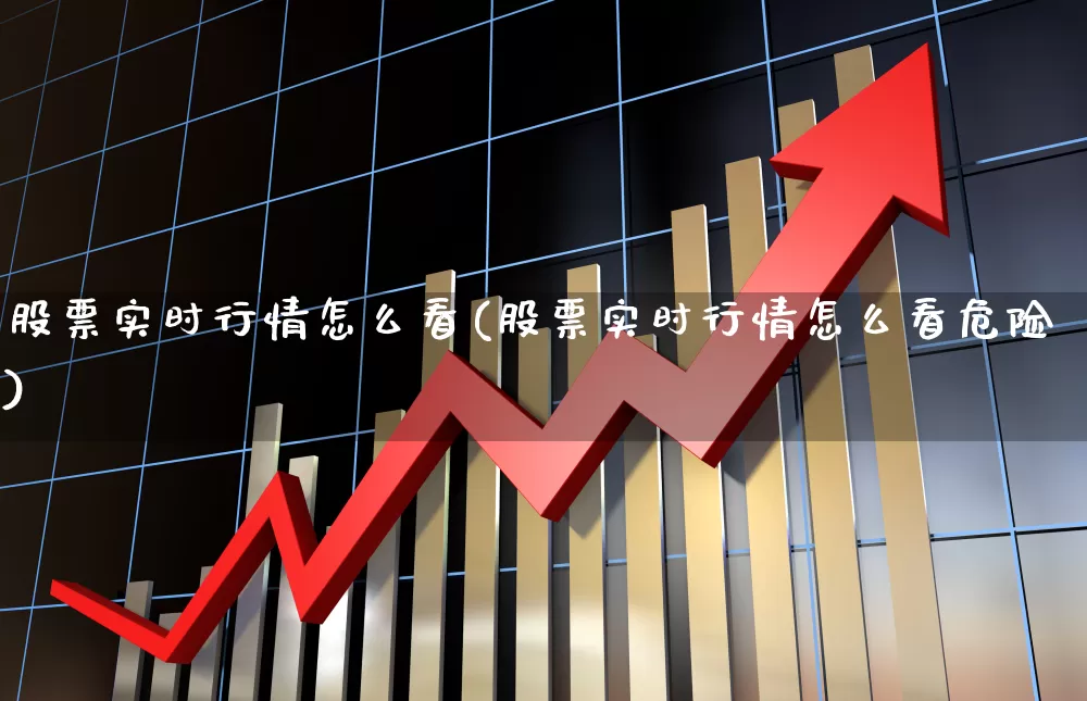 股票实时行情怎么看(股票实时行情怎么看危险)_https://www.hhem8.com_科创板_第1张