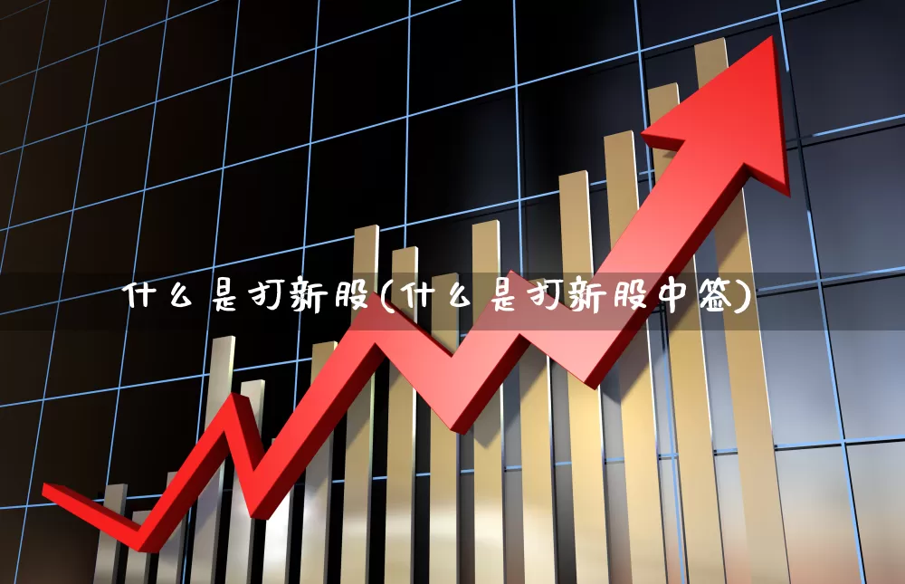 什么是打新股(什么是打新股中签)_https://www.hhem8.com_深交所_第1张