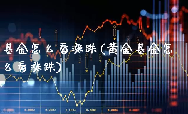 基金怎么看涨跌(黄金基金怎么看涨跌)_https://www.hhem8.com_科创板_第1张