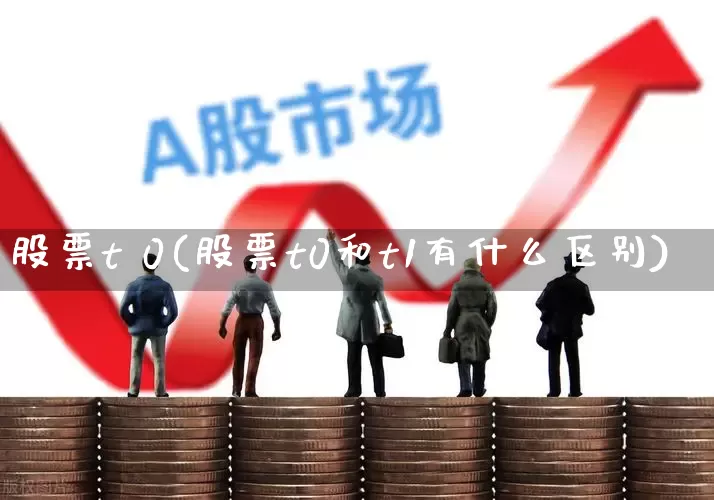 股票t 0(股票t0和t1有什么区别)_https://www.hhem8.com_科创板_第1张