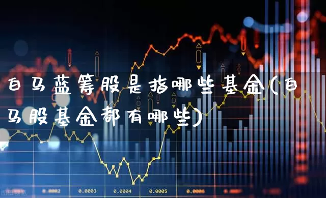 白马蓝筹股是指哪些基金(白马股基金都有哪些)_https://www.hhem8.com_上交所_第1张