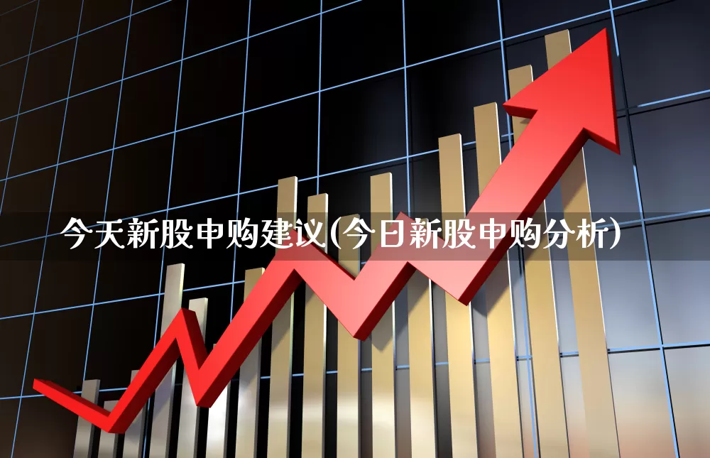 今天新股申购建议(今日新股申购分析)_https://www.hhem8.com_上交所_第1张