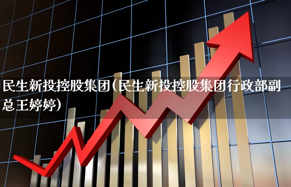 民生新投控股集团(民生新投控股集团行政部副总王婷婷)_https://www.hhem8.com_创业板_第1张