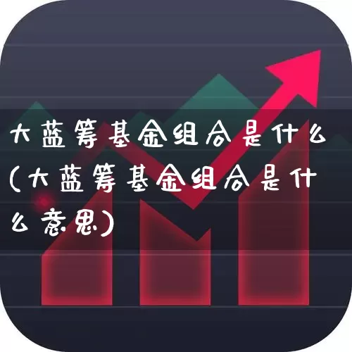 大蓝筹基金组合是什么(大蓝筹基金组合是什么意思)_https://www.hhem8.com_科创板_第1张