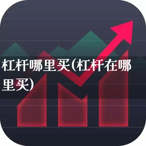 杠杆哪里买(杠杆在哪里买)_https://www.hhem8.com_科创板_第1张