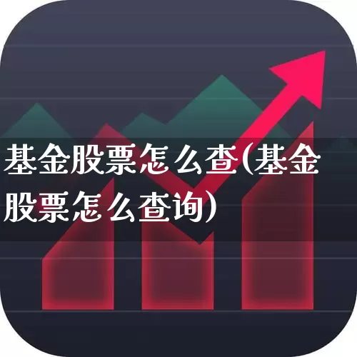 基金股票怎么查(基金股票怎么查询)_https://www.hhem8.com_深交所_第1张