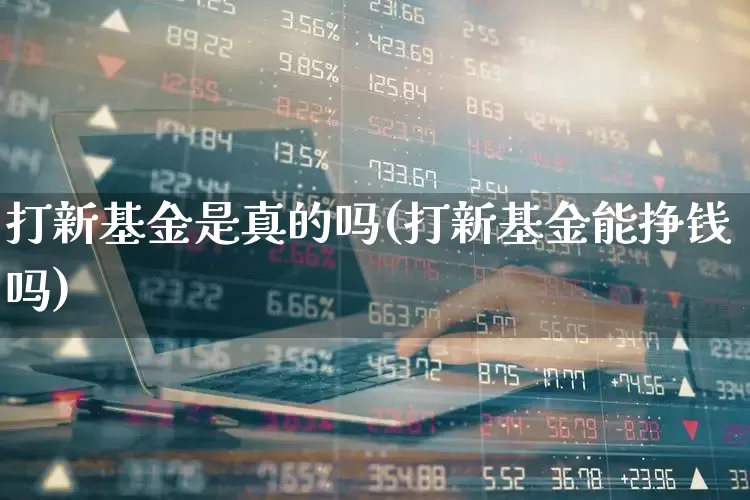 打新基金是真的吗(打新基金能挣钱吗)_https://www.hhem8.com_科创板_第1张