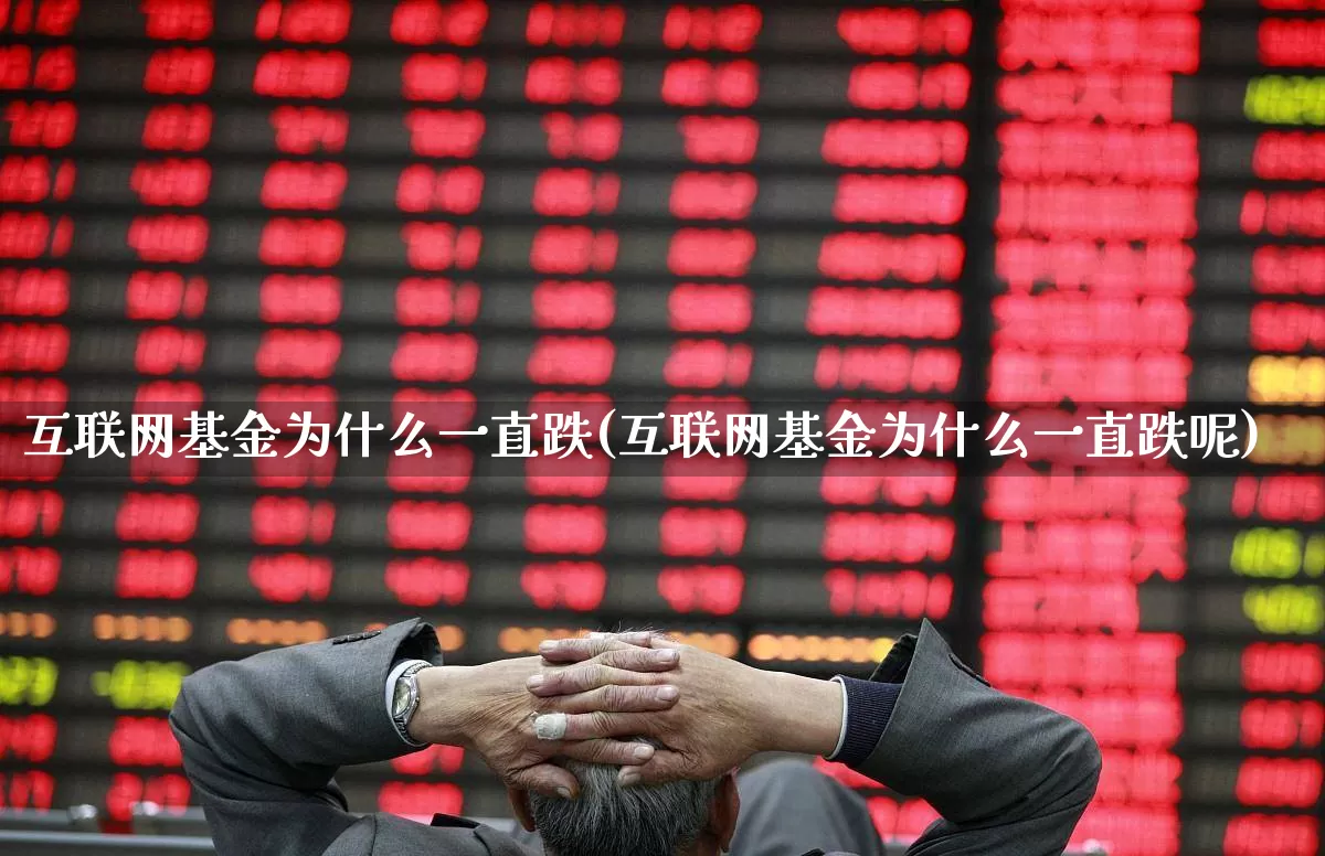 互联网基金为什么一直跌(互联网基金为什么一直跌呢)_https://www.hhem8.com_科创板_第1张