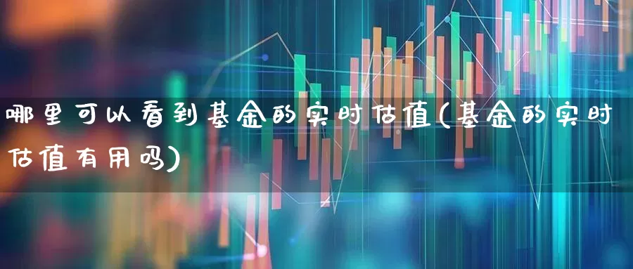 哪里可以看到基金的实时估值(基金的实时估值有用吗)_https://www.hhem8.com_深交所_第1张
