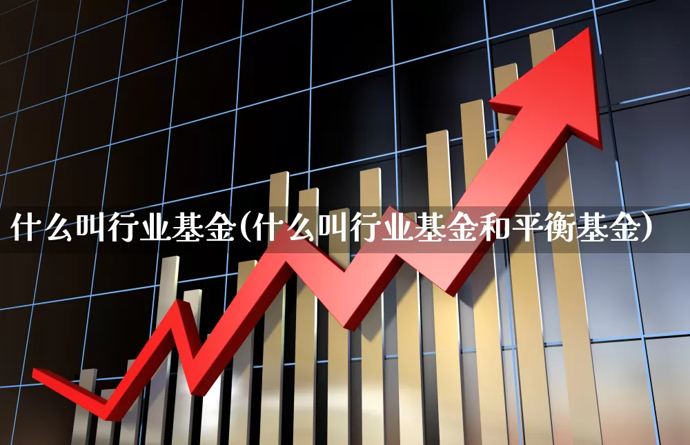 什么叫行业基金(什么叫行业基金和平衡基金)_https://www.hhem8.com_深交所_第1张
