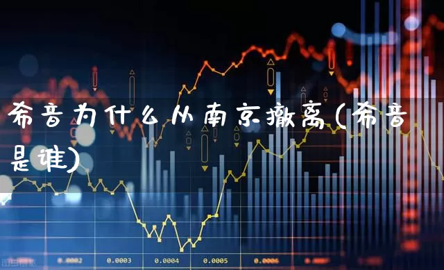 希音为什么从南京撤离(希音是谁)_https://www.hhem8.com_北交所_第1张