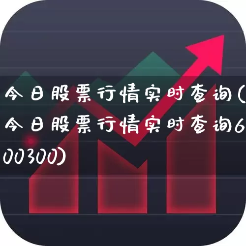 今日股票行情实时查询(今日股票行情实时查询600300)_https://www.hhem8.com_深交所_第1张