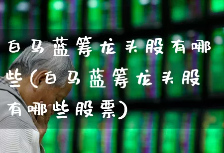 白马蓝筹龙头股有哪些(白马蓝筹龙头股有哪些股票)_https://www.hhem8.com_科创板_第1张
