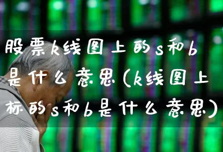 股票k线图上的s和b是什么意思(k线图上标的s和b是什么意思)_https://www.hhem8.com_深交所_第1张