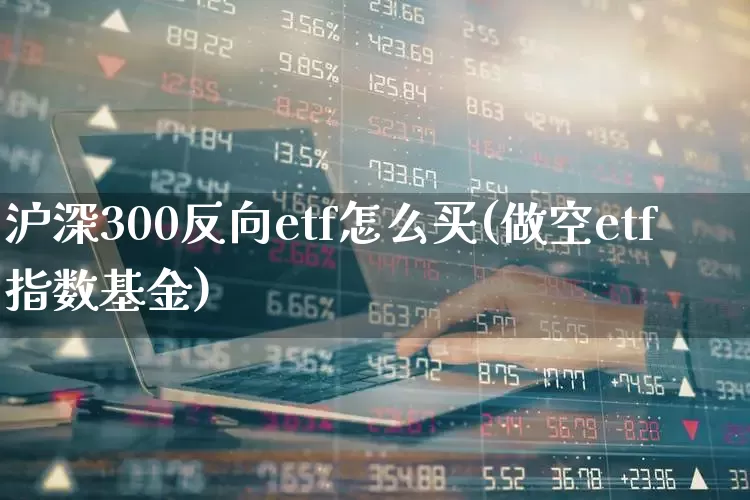 沪深300反向etf怎么买(做空etf指数基金)_https://www.hhem8.com_深交所_第1张
