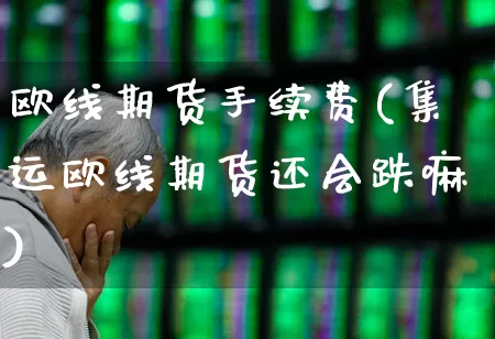 欧线期货手续费(集运欧线期货还会跌嘛)_https://www.hhem8.com_科创板_第1张