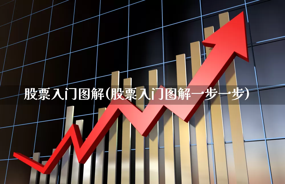 股票入门图解(股票入门图解一步一步)_https://www.hhem8.com_上交所_第1张