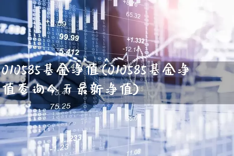010585基金净值(010585基金净值查询今天最新净值)_https://www.hhem8.com_科创板_第1张