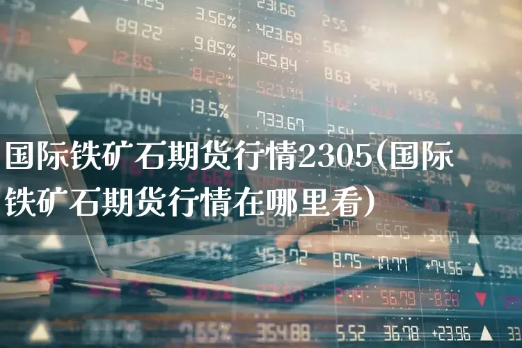 国际铁矿石期货行情2305(国际铁矿石期货行情在哪里看)_https://www.hhem8.com_科创板_第1张