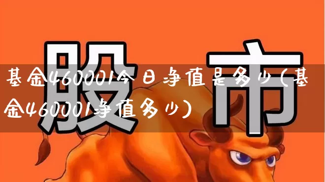 基金460001今日净值是多少(基金460001净值多少)_https://www.hhem8.com_科创板_第1张