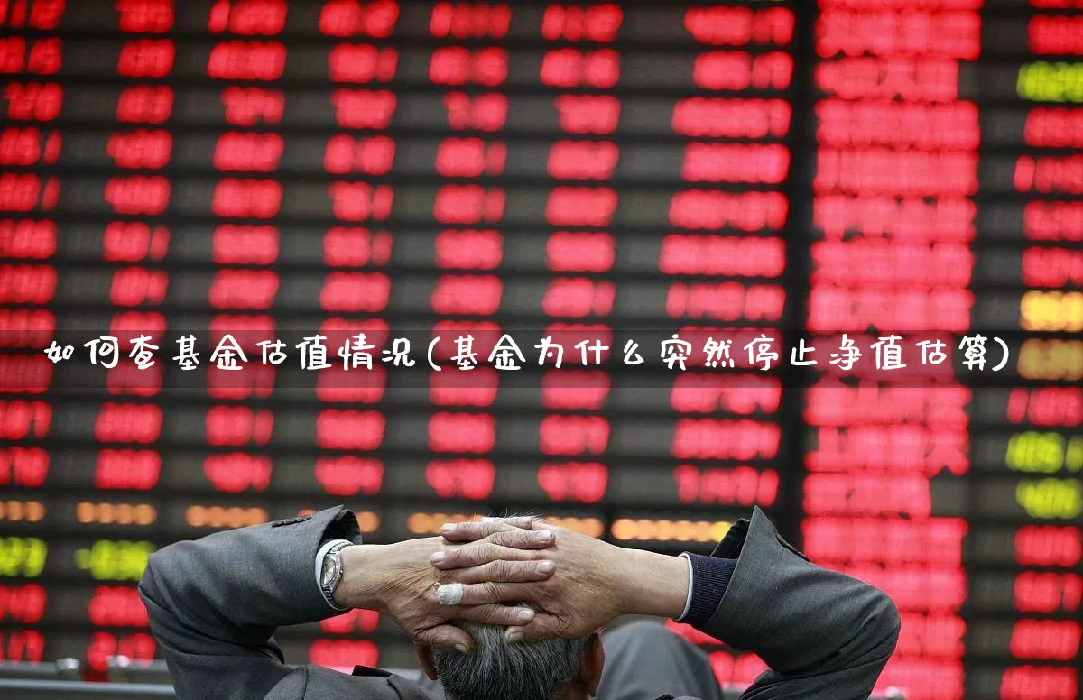 如何查基金估值情况(基金为什么突然停止净值估算)_https://www.hhem8.com_科创板_第1张