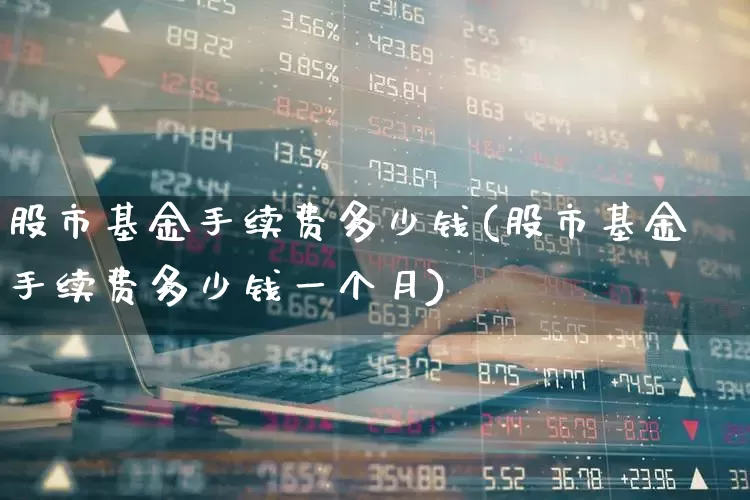股市基金手续费多少钱(股市基金手续费多少钱一个月)_https://www.hhem8.com_科创板_第1张
