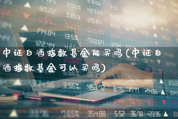 中证白酒指数基金能买吗(中证白酒指数基金可以买吗)_https://www.hhem8.com_科创板_第1张