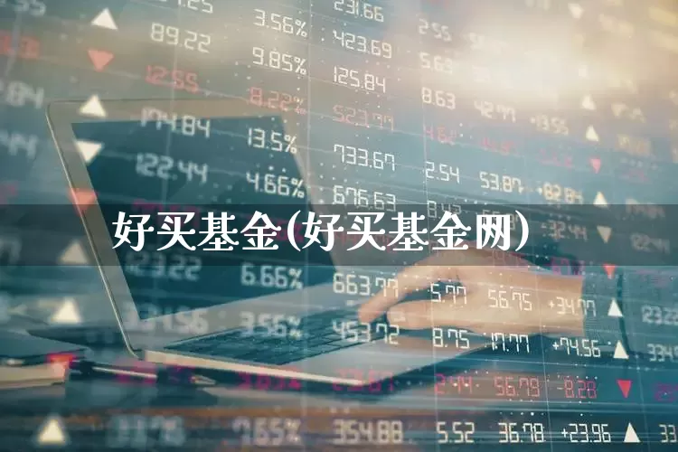 好买基金(好买基金网)_https://www.hhem8.com_深交所_第1张