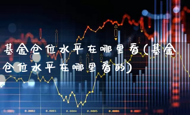 基金仓位水平在哪里看(基金仓位水平在哪里看的)_https://www.hhem8.com_北交所_第1张