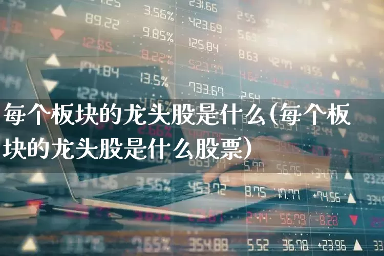 每个板块的龙头股是什么(每个板块的龙头股是什么股票)_https://www.hhem8.com_上交所_第1张