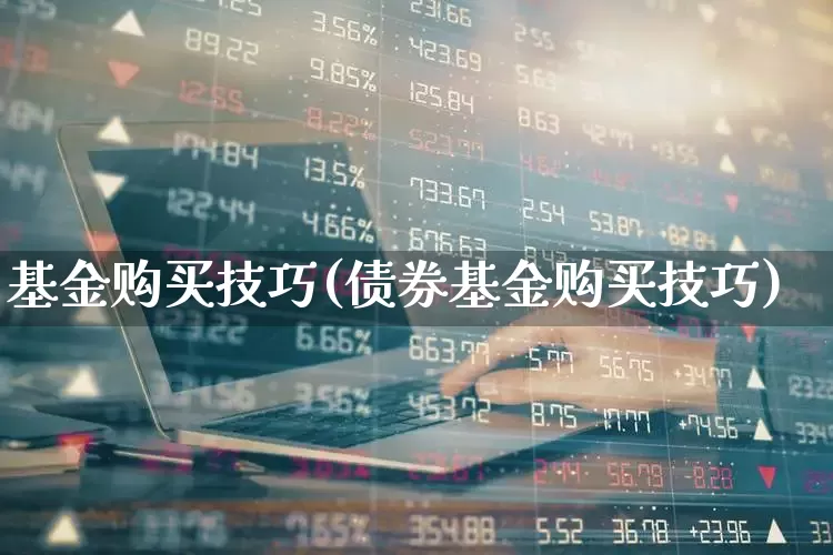 基金购买技巧(债券基金购买技巧)_https://www.hhem8.com_科创板_第1张