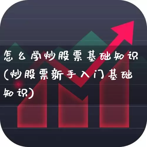 怎么学炒股票基础知识(炒股票新手入门基础知识)_https://www.hhem8.com_科创板_第1张