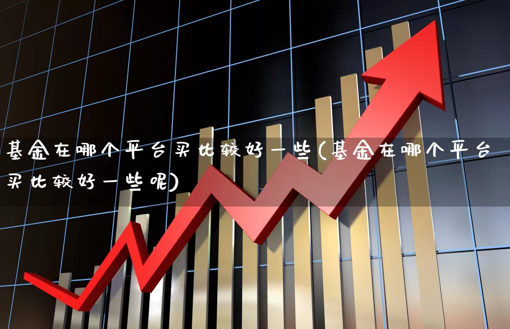 基金在哪个平台买比较好一些(基金在哪个平台买比较好一些呢)_https://www.hhem8.com_科创板_第1张