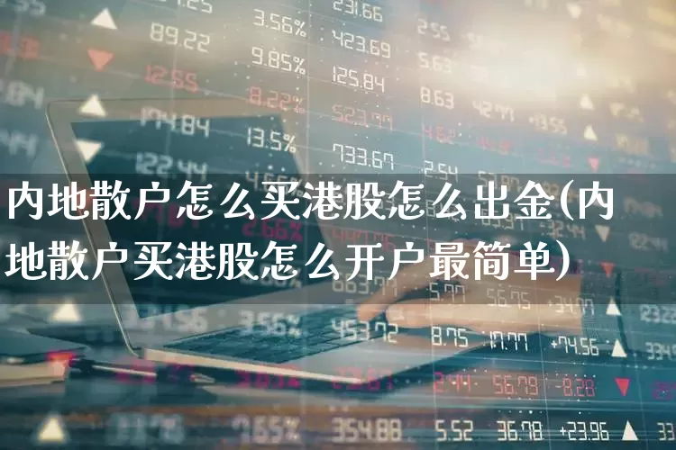 内地散户怎么买港股怎么出金(内地散户买港股怎么开户最简单)_https://www.hhem8.com_深交所_第1张