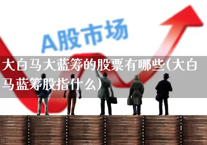 大白马大蓝筹的股票有哪些(大白马蓝筹股指什么)_https://www.hhem8.com_创业板_第1张