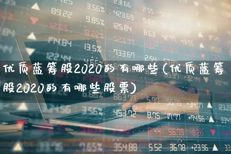 优质蓝筹股2020的有哪些(优质蓝筹股2020的有哪些股票)_https://www.hhem8.com_科创板_第1张