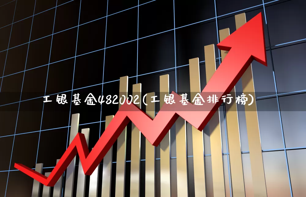 工银基金482002(工银基金排行榜)_https://www.hhem8.com_北交所_第1张