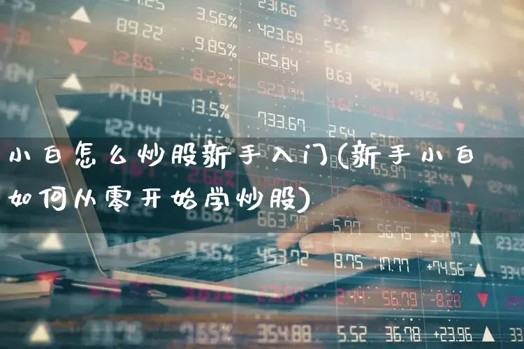 小白怎么炒股新手入门(新手小白如何从零开始学炒股)_https://www.hhem8.com_科创板_第1张