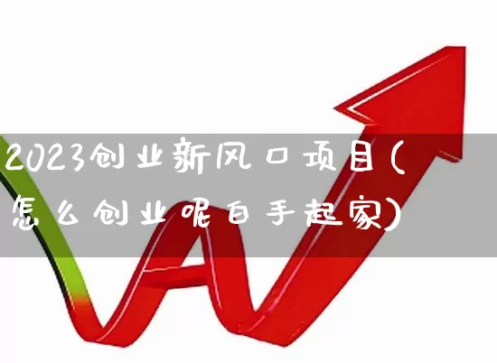 2023创业新风口项目(怎么创业呢白手起家)_https://www.hhem8.com_上交所_第1张