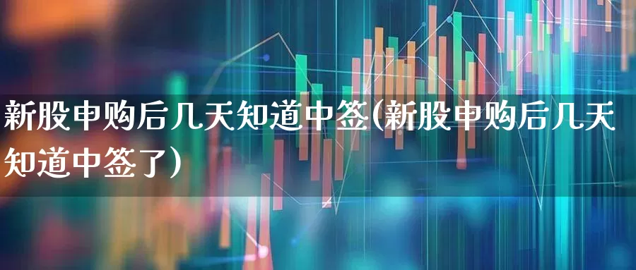 新股申购后几天知道中签(新股申购后几天知道中签了)_https://www.hhem8.com_上交所_第1张
